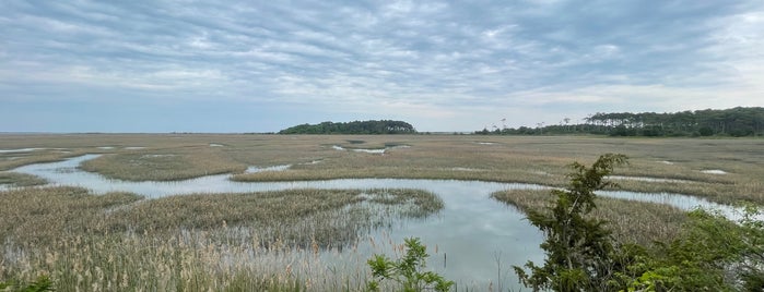 Eastern Shore of Virginia National Wildlife Refuge is one of Cape Charles.