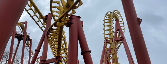 The Mind Eraser is one of SIX FLAGS AMERICA.