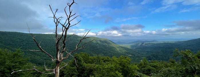 Bacon Hollow Overlook (Skyline Drive) is one of Shenandoah.