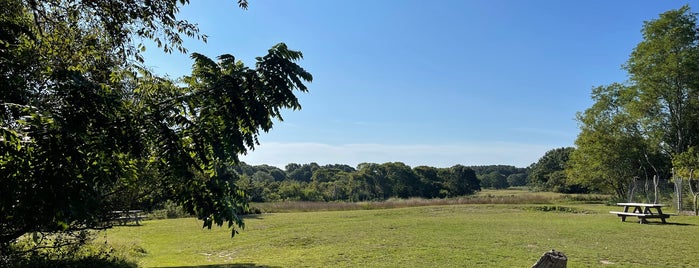 Mass Audubon Felix Neck Wildlife Sanctuary is one of Cape Cod.