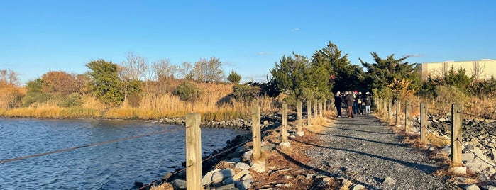 Indian River Marina is one of S. Delaware.