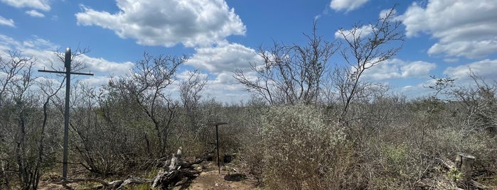 Falcon State Park is one of Texas Parks.