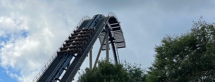 Wild Eagle is one of world attractions.