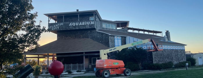 Atlantic City Aquarium is one of ATC - 2015.
