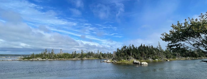 Salt Marsh Trail is one of Halifax To-Do.