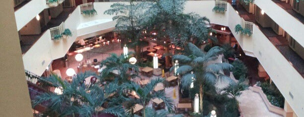 Embassy Suites by Hilton is one of Posti che sono piaciuti a Todd.