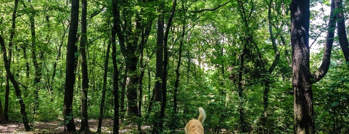 Horský park is one of Bratislava, Slovakia.