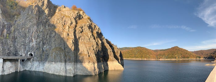 Lacul Vidraru is one of สถานที่ที่ Alexander ถูกใจ.