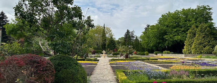 Ботаническа градина is one of Rumunsko.