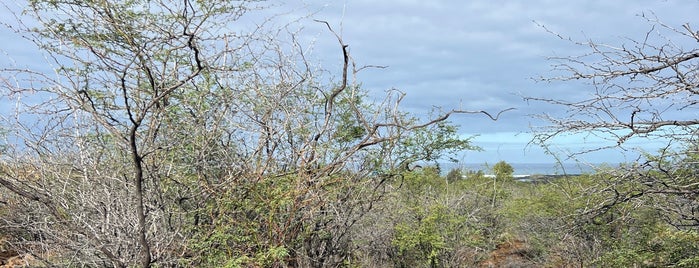 Kiholo Bay is one of Places to Explore Near Kona.