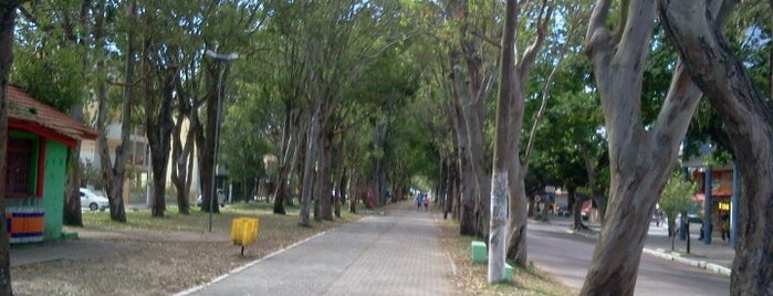 Avenida do Cassino is one of Férias,Trabalho.