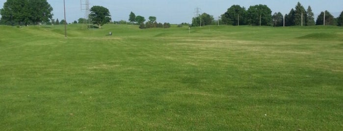 Raymond C Firestone Public 9 & Driving Range is one of Rick’s Liked Places.
