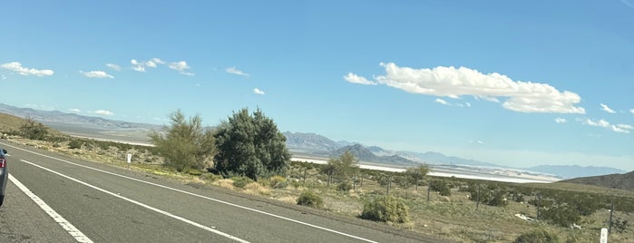 Zzyzx Road is one of 11 - Road Fresno to Pahrump - Sequoia.