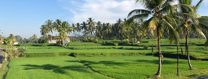 Dedari Kriyamaha Villa is one of Bali - Ubud.