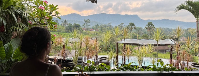 Samanvaya is one of Bali.
