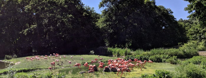 Flamingoanlage is one of Orte, die Arma gefallen.