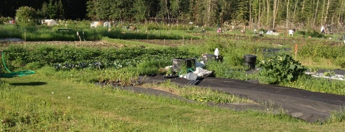 Fairbanks Community Garden is one of More Alaska.