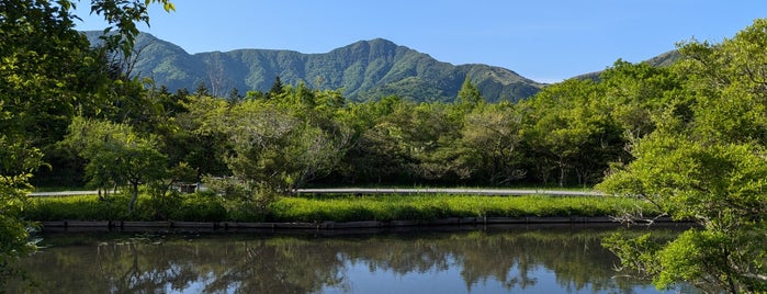 箱根湿生花園 is one of Hakone.