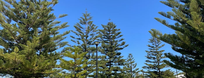 Busselton Foreshore is one of Gidilecek Mekanlar.