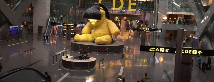 Hamad International Airport (DOH) is one of Lieux qui ont plu à Taher.