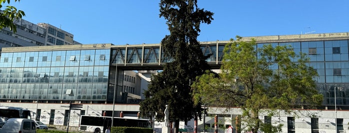 Aristotle University of Thessaloniki is one of ΘΕΣΣΑΛΟΝΙΚΑΡΑ!!!.