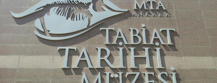 MTA Şehit Cuma Dağ Tabiat Tarihi Müzesi is one of Sanat.