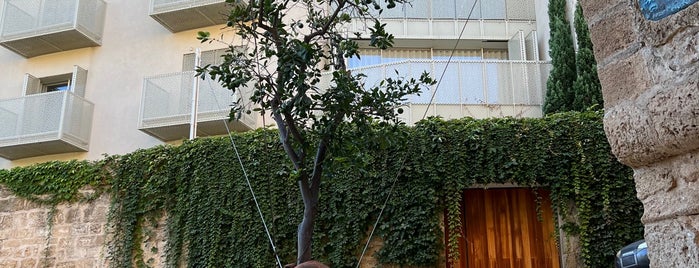 Suspended Orange Tree is one of Tel Aviv for Masha.
