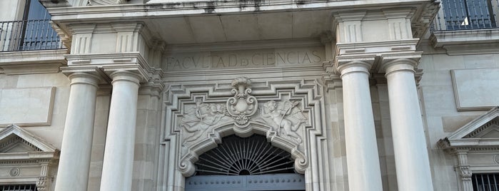 Foso Fábrica de Tabacos is one of Cosas que ver en Sevilla.