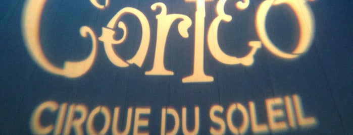 Cirque du Soleil: Corteo is one of Sampa 2.