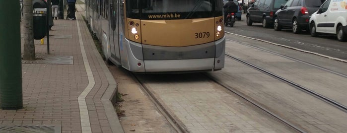 Tram 81 (STIB) is one of Brussels.