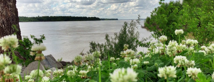 Mississippi River Greenbelt Park is one of Memphis.