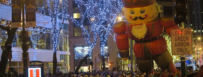 The Magnificent Mile Lights Festival is one of yearly events in chicagoland area.