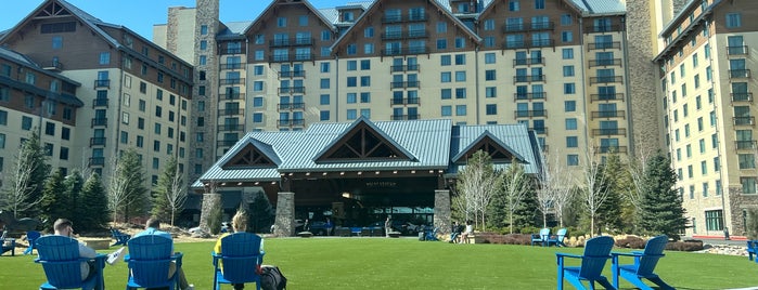 Gaylord Rockies Resort & Convention Center is one of Hotels.