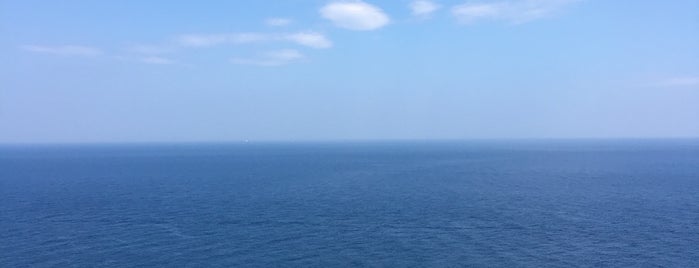 Cape Ashizuri-Misaki is one of 旅は道連れ~四国編~.