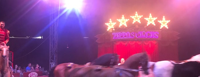 Zippo's Circus is one of London.
