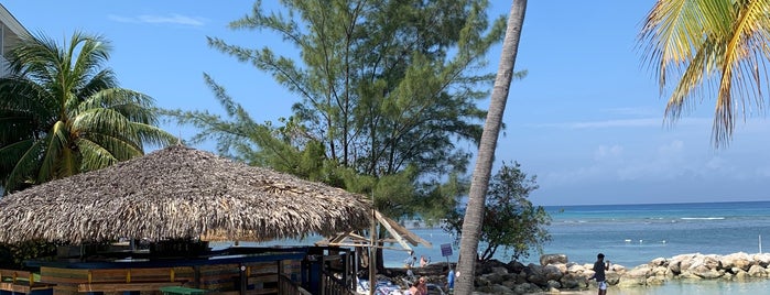 The Jerk Hut is one of Montego Bay.