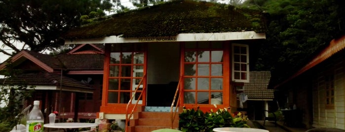 cendana cafe, puncak bukit larut is one of Taiping.