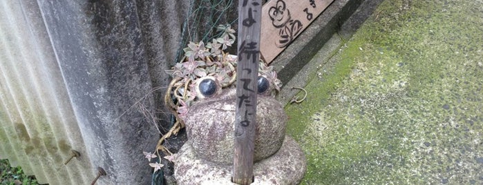 Nyoirinji Temple (Frog Temple) is one of Only In Japan 　　　　　　　　　　　　日本の観光名所.