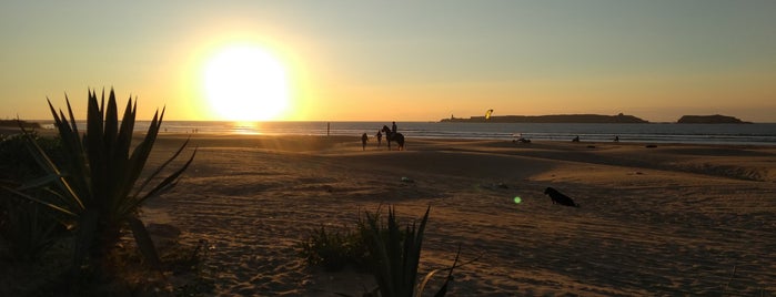 Essaouira Kite Beach is one of Lugares favoritos de Lena.