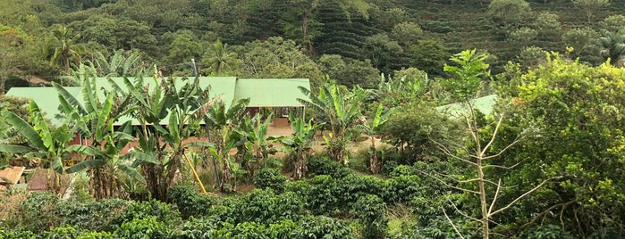 Espíritu Santo Coffee Tour is one of Tempat yang Disukai Leonardo.