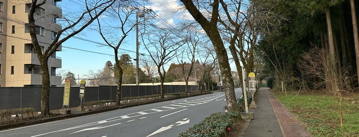 秩父宮記念公園 is one of 静岡.