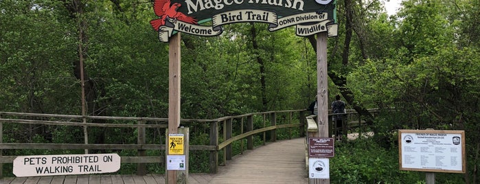 Magee Marsh Wildlife Area is one of 82 Best Birdwatching Spots in the US.