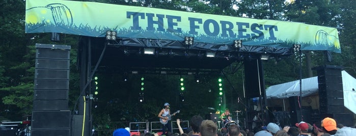 Firefly Forest Stage is one of Firefly '14.