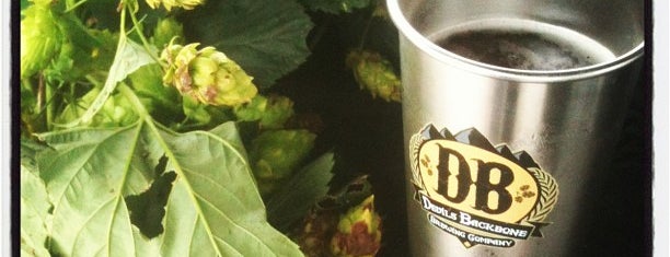 Devils Backbone Outpost Brewery is one of Virginia Craft Breweries.