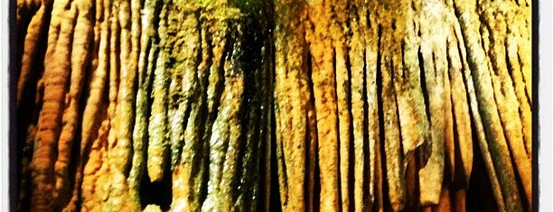 The Caverns at Natural Bridge is one of Virginia Summer Road Trip.