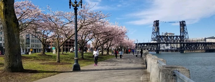 Cherry Blossom @ Waterfront is one of Tempat yang Disukai Diana.