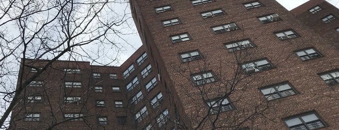 Farragut Houses - NYCHA is one of Places I go to.