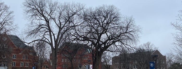 Macalester College is one of Minneapolis.