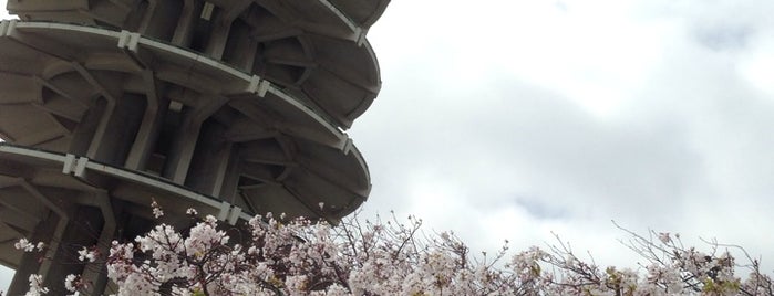 47th Annual Cherry Blossom Festival is one of SF exploration.