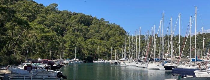 Karacasöğüt Marina is one of Bodrum sail.